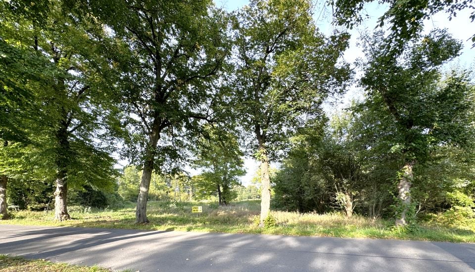 Działka inna Golica