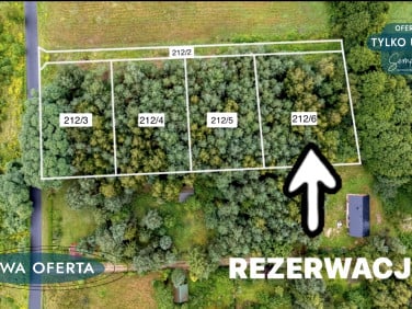 Działka Chociszew