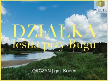 Działka leśna Okczyn