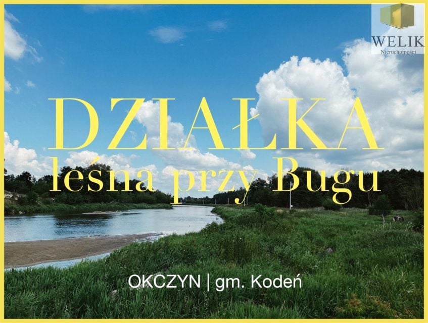 Działka leśna Okczyn