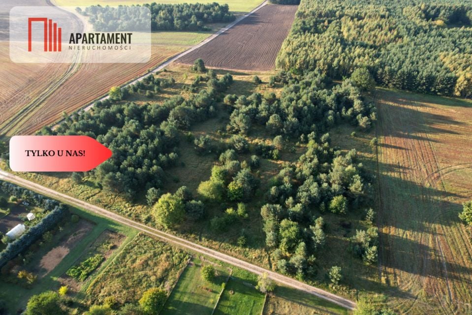 Działka budowlana Brzezie