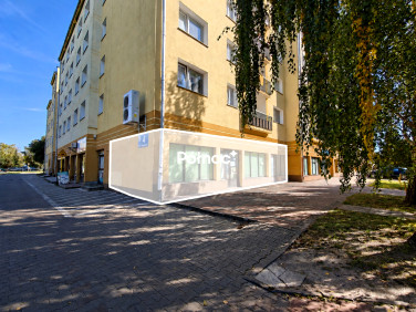 Lokal Chełm