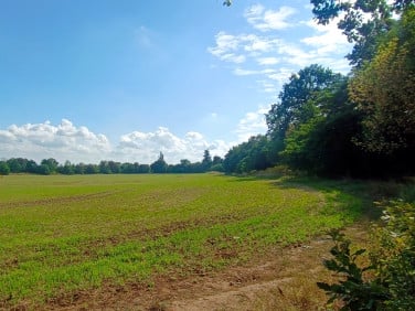 Działka inwestycyjna Stargard