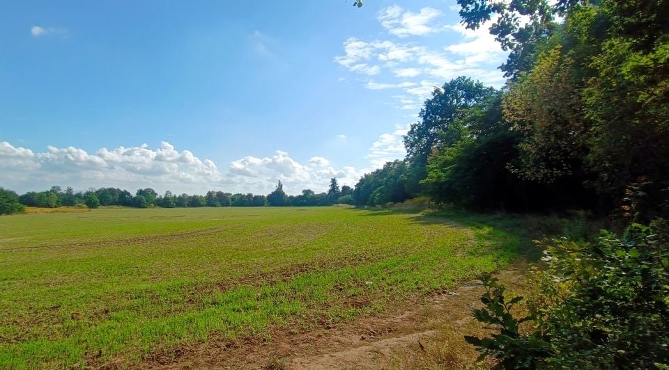 Działka inwestycyjna Stargard