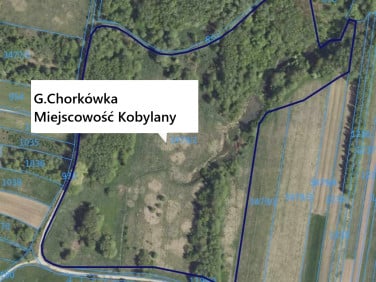 Działka rolna Kobylany