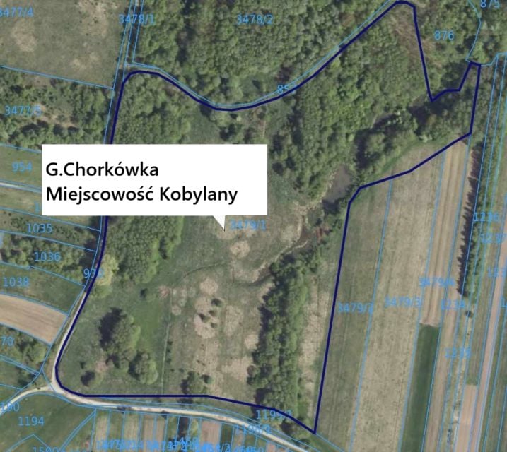 Działka rolna Kobylany