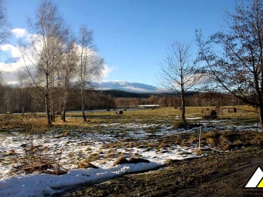 Działka rekreacyjna Orłowice