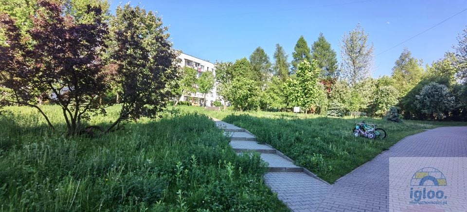 Mieszkanie Kielce