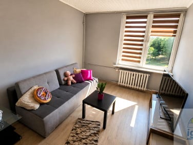 Mieszkanie Kielce