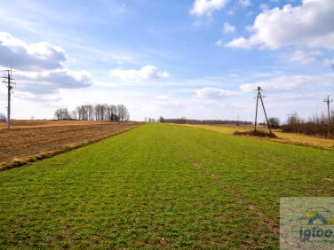 Działka budowlano-rolna Grzymałków