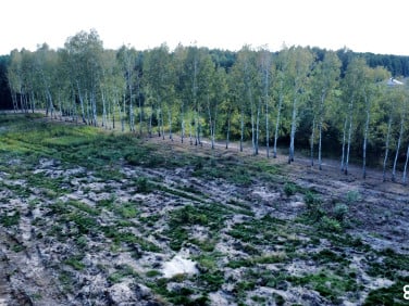 Działka Stajenczynki