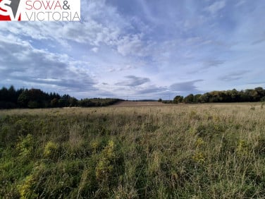 Działka budowlana Kłaczyna