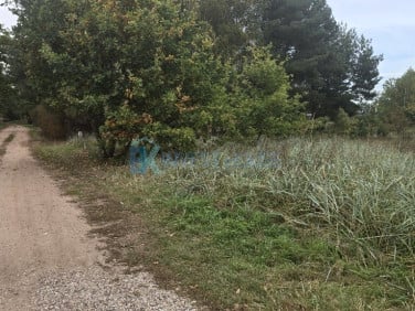 Działka budowlana Czarnów