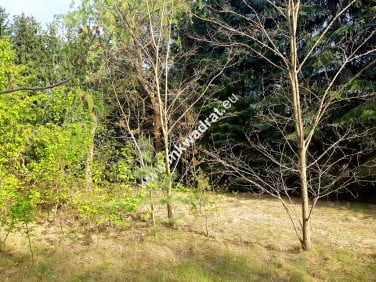 Działka Rozalin