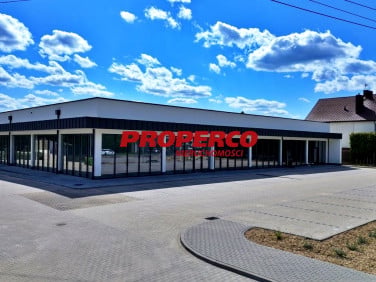 Lokal Kielce