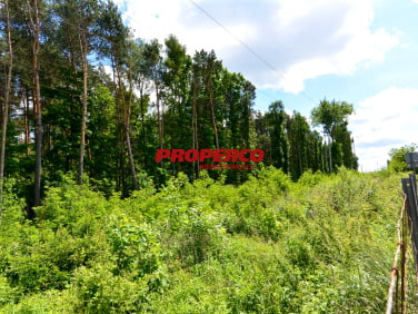 Pusta działka Kielce