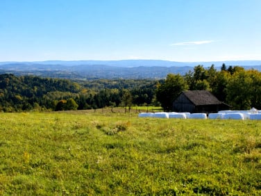 Działka inna Golcowa