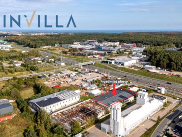 Lokal Gdynia