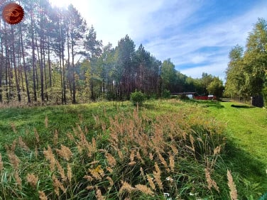 Działka rekreacyjna Helenów