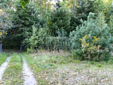 Działka OJRZANÓW