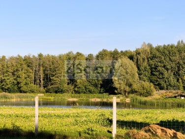 Działka OJRZANÓW