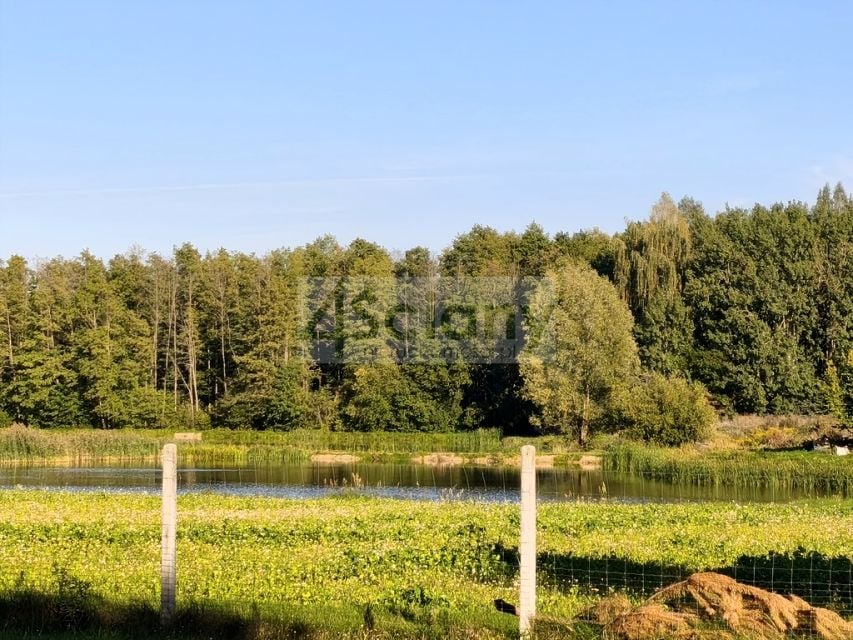 Działka OJRZANÓW