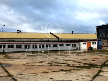 Ogrodzona działka wynajmę