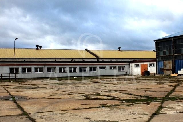 Ogrodzona działka wynajmę