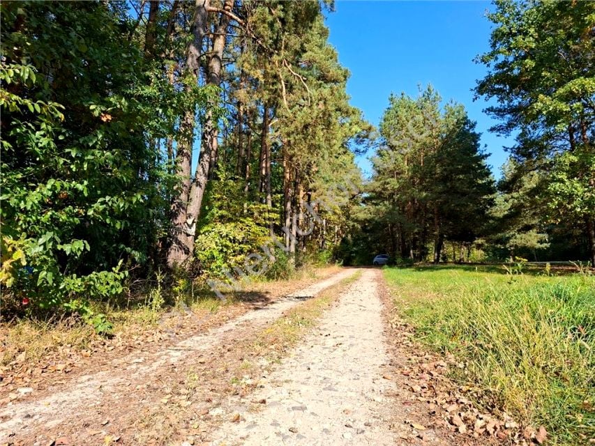 Działka budowlana Pęclin