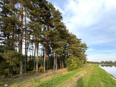 Działka inna Rosnowo