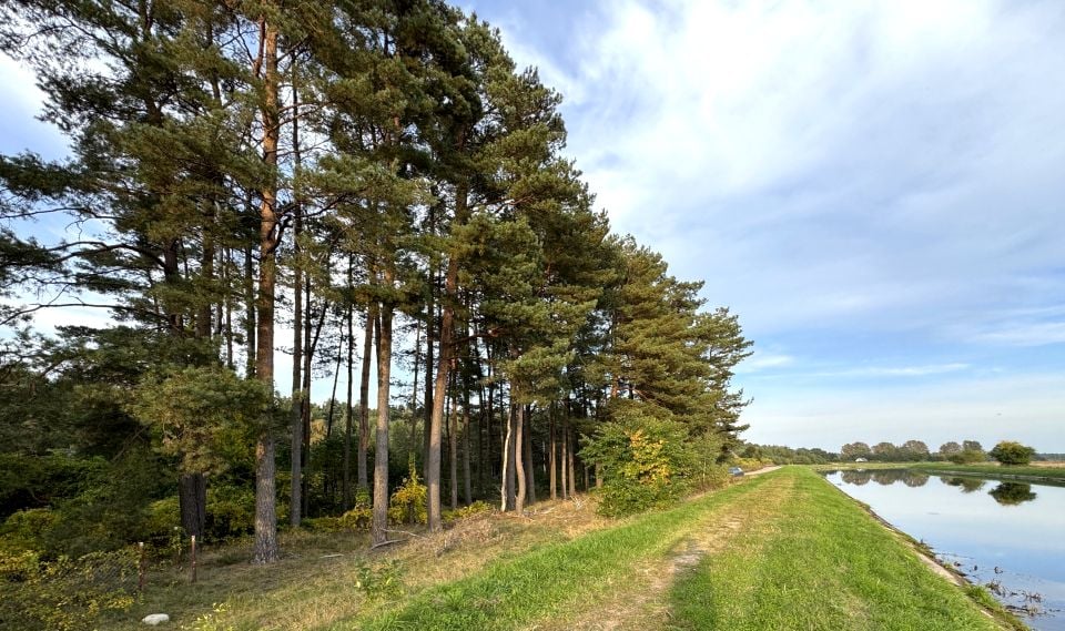 Działka inna Rosnowo