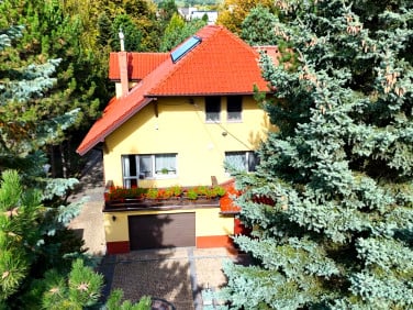 Dom Strzyżowice