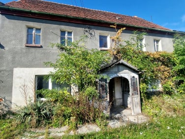 Dom Olszany