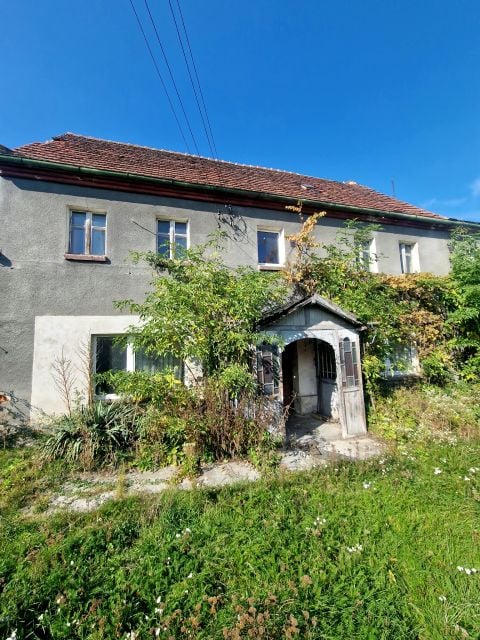 Dom Olszany