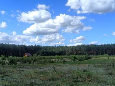 Działka budowlana Sarnowo