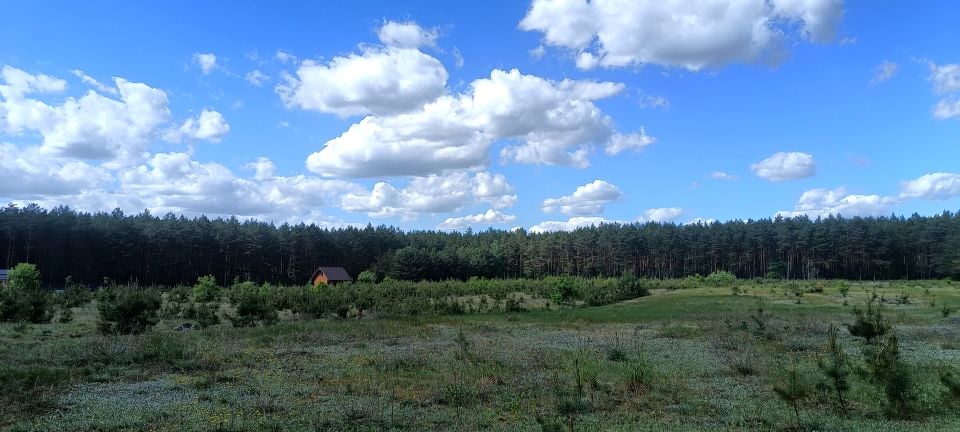 Działka budowlana Sarnowo