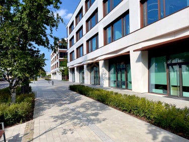 Lokal Gdynia