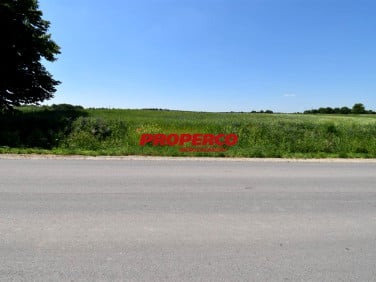 Działka Wolica