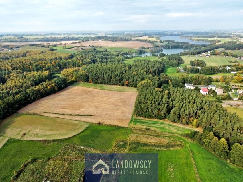 Działka Trzcińsk