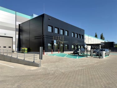 Lokal Gdynia