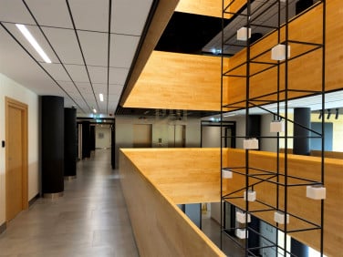 Lokal Gdynia wynajem