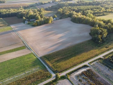 Działka rolna Zastawie-Kolonia