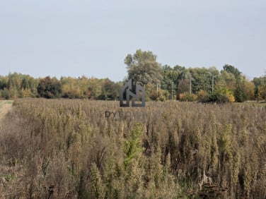 Działka budowlana Rzakta