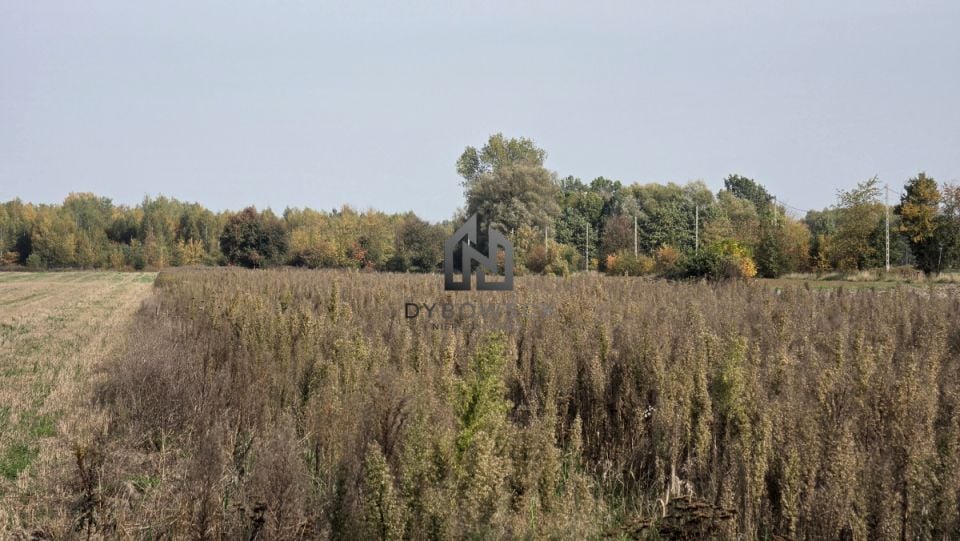 Działka budowlana Rzakta