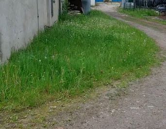 Budynek użytkowy Aleksandrów Łódzki