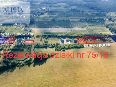 Działka budowlana Kocerany sprzedam