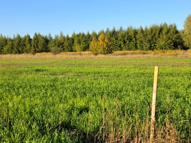 Działka budowlana Wojkowice Kościelne