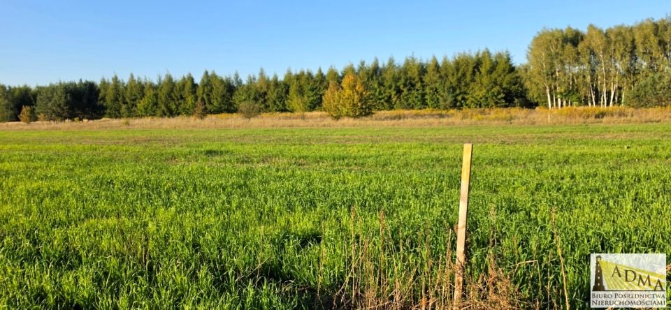 Działka budowlana Wojkowice Kościelne