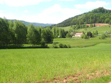 Działka Wambierzyce