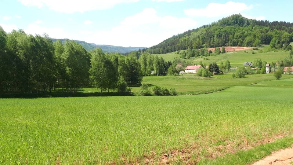 Działka Wambierzyce